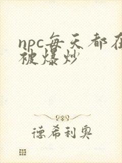 npc每天都在被爆炒