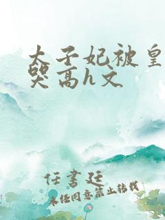 太子妃被皇上c哭高h文