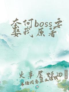 奈何boss要娶我原著