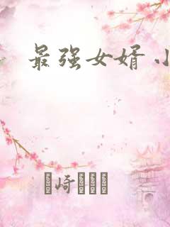 最强女婿 小说