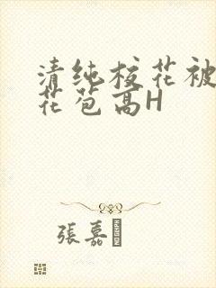 清纯校花被迫开花苞高H