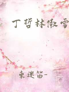 丁哲林傲雪小说