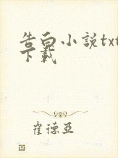 告白小说txt下载