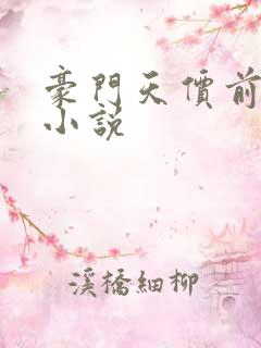 豪门天价前妻 小说