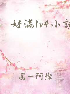 好满1v4小说
