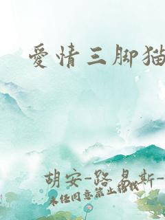 爱情三脚猫