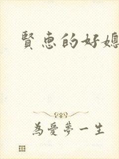 贤惠的好媳妇