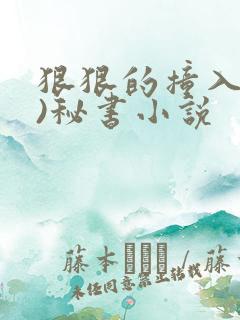 狠狠的撞入(h)秘书小说