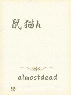 鼠猫h