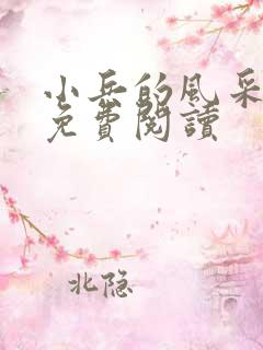 小兵的风采小说免费阅读