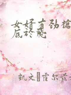 女婿有劲枪枪到底于飞