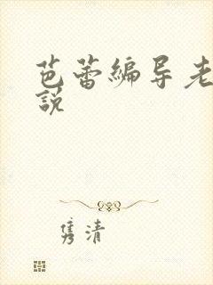 芭蕾编导老师小说