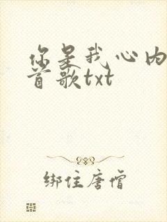 你是我心内的一首歌txt