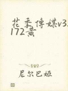 花季传媒v3.172黄