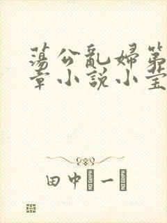 荡公乱妇第51章小说小莹