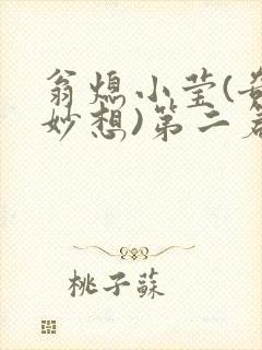 翁熄小莹(奇思妙想)第二篇