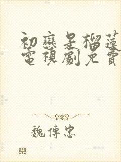 初恋是榴莲先生电视剧免费观看