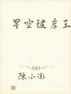 星空彼岸王轩
