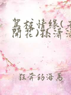 驾校情缘(老树开花)孙潇潇笔趣阁