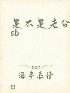 是不是老公的小sb