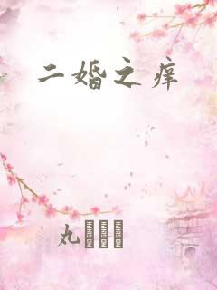 二婚之痒