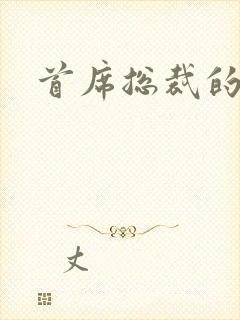 首席总裁的逃妻