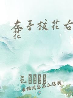 左手校花右手系花