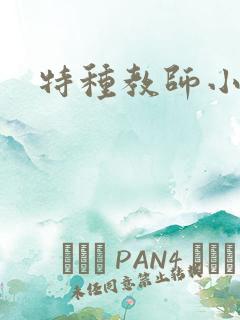 特种教师小说