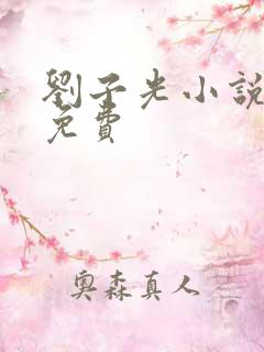 刘子光小说全文免费