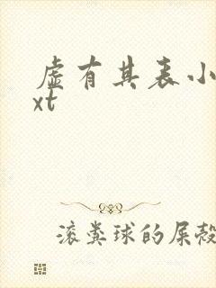 虚有其表小说txt