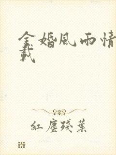 金婚风雨情 下载