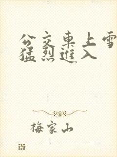 公交车上雪柔被猛烈进入