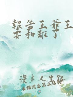 报告王爷王妃又要和离了