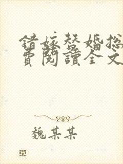 错嫁替婚总裁免费阅读全文