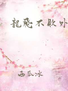 龙飞不败外传