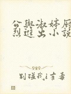 公与淑婷厨房猛烈进出小说