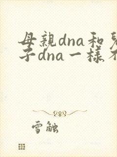母亲dna和儿子dna一样不