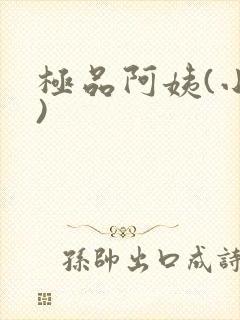 极品阿姨(小说)