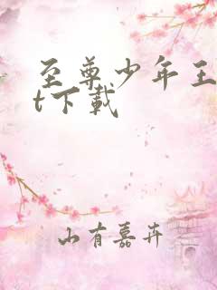 至尊少年王txt下载