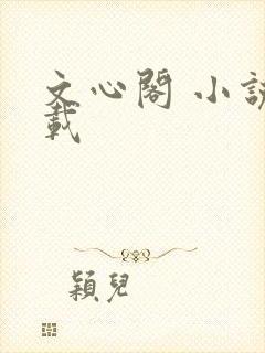 文心阁 小说连载