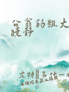 公翁的粗大放进晓静