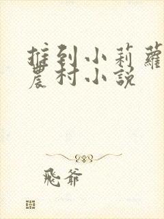 推到小莉萝稚嫩农村小说