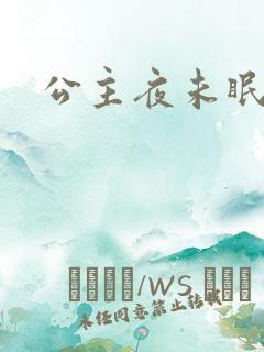 公主夜未眠