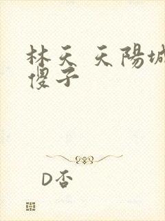 林天 天阳城 傻子