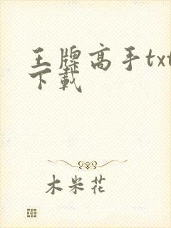 王牌高手txt下载