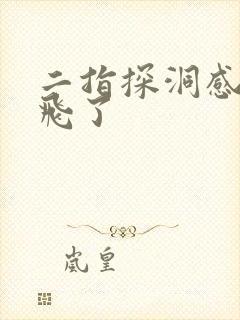 二指探洞感觉要飞了