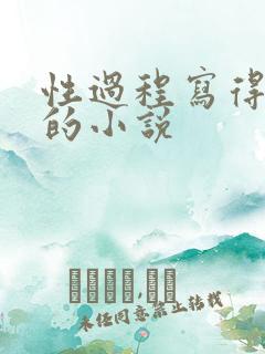 性过程写得详细的小说