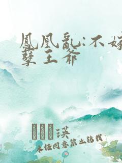 凤凰乱:不嫁妖孽王爷