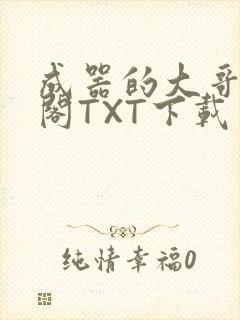 成器的大哥笔趣阁TXT下载