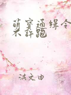 萌宝通缉令妈味不许跑